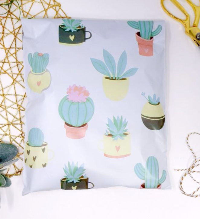 Succulents 10x13 Polymailer