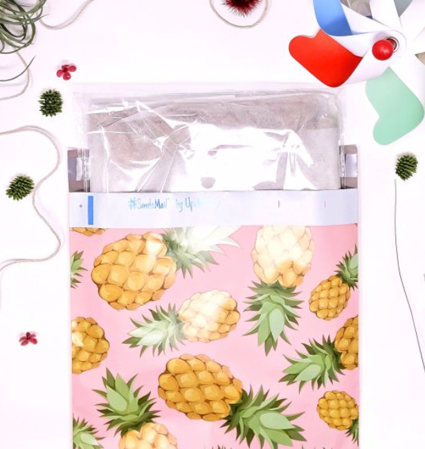 Pineapple 10x13 Polymailer