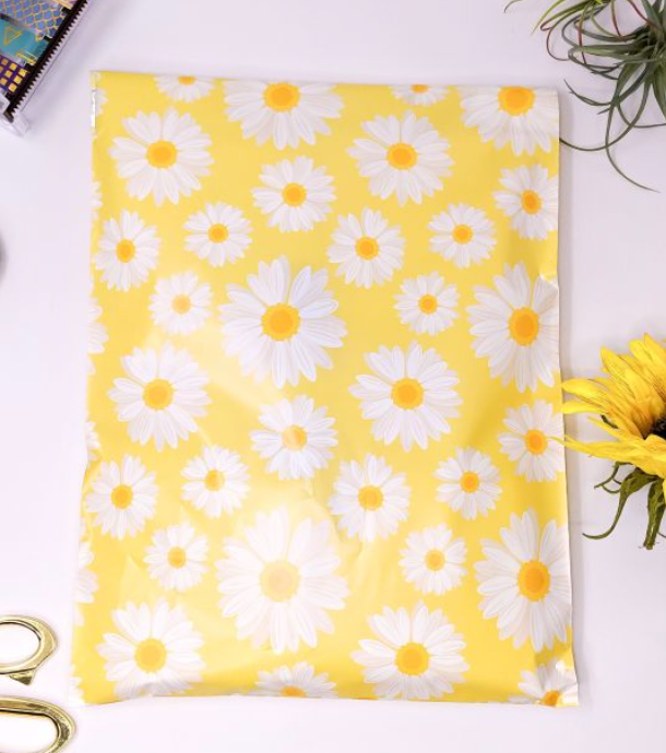 Daisy 10x13 Polymailer